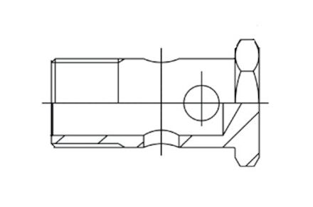 Hydraulický adaptér - přímý BSP Banjo Bolt product photo