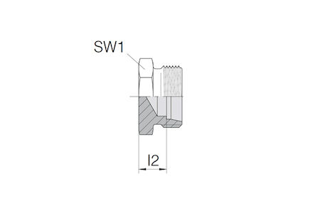 Snijringverbinding 24° - DIN 2353 - blindplug - serie Zwaar