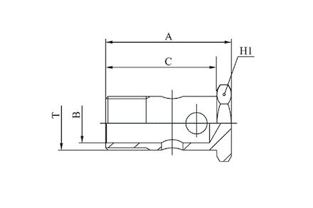 Hydrauliek adapter - Banjobout recht BSP